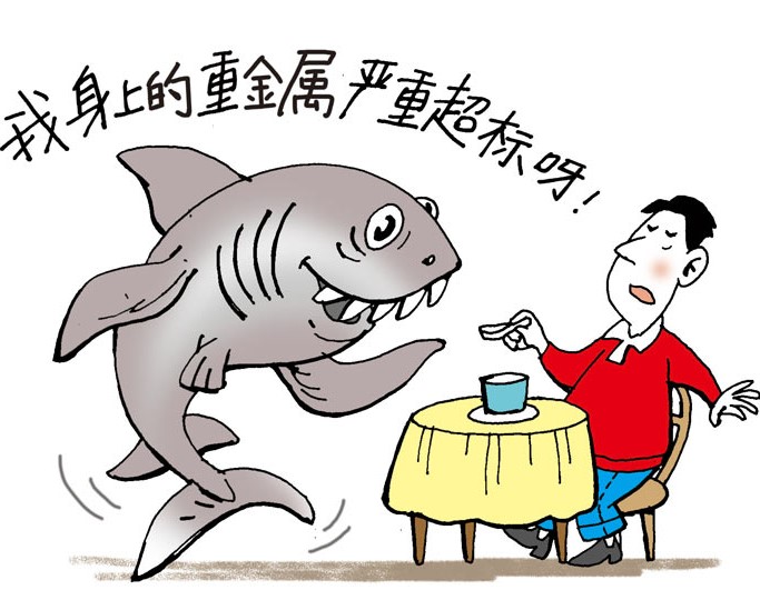 About our daily meals
